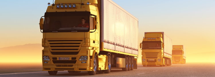 Klose Logistikmanagement - Reducing Transport Costs